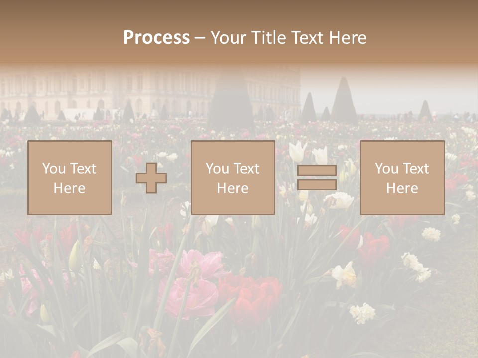 A Field Of Flowers With A Building In The Background PowerPoint Template