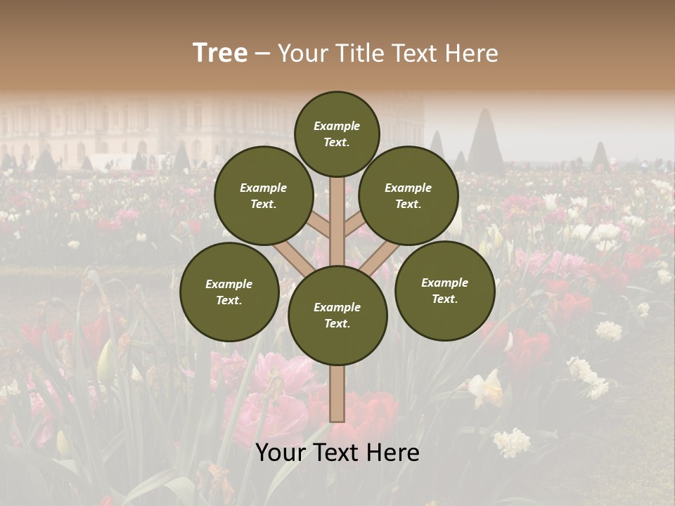 A Field Of Flowers With A Building In The Background PowerPoint Template