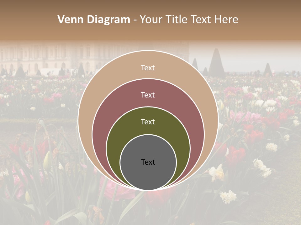 A Field Of Flowers With A Building In The Background PowerPoint Template