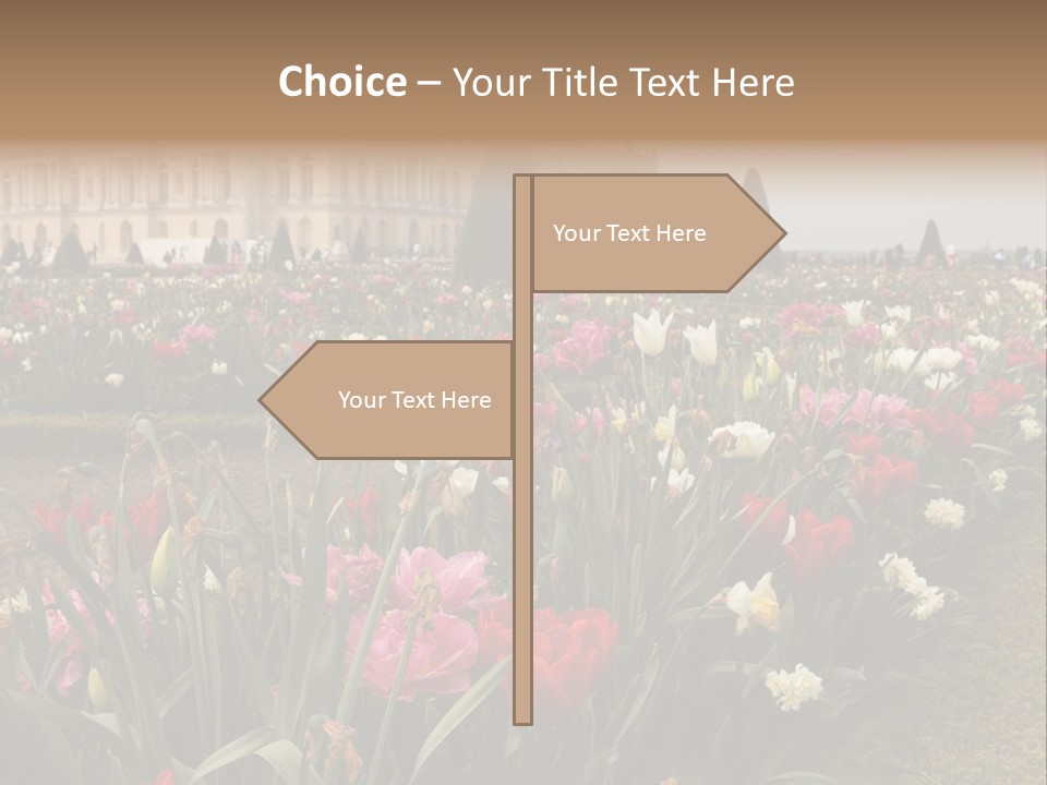 A Field Of Flowers With A Building In The Background PowerPoint Template