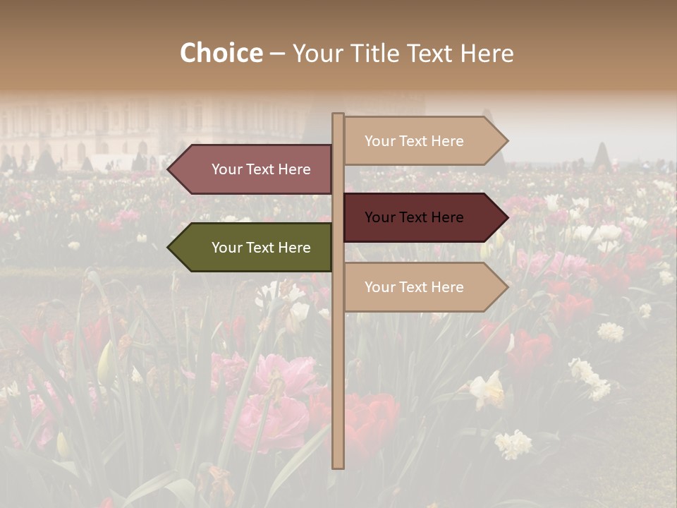 A Field Of Flowers With A Building In The Background PowerPoint Template