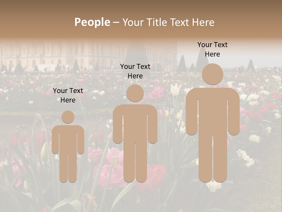 A Field Of Flowers With A Building In The Background PowerPoint Template