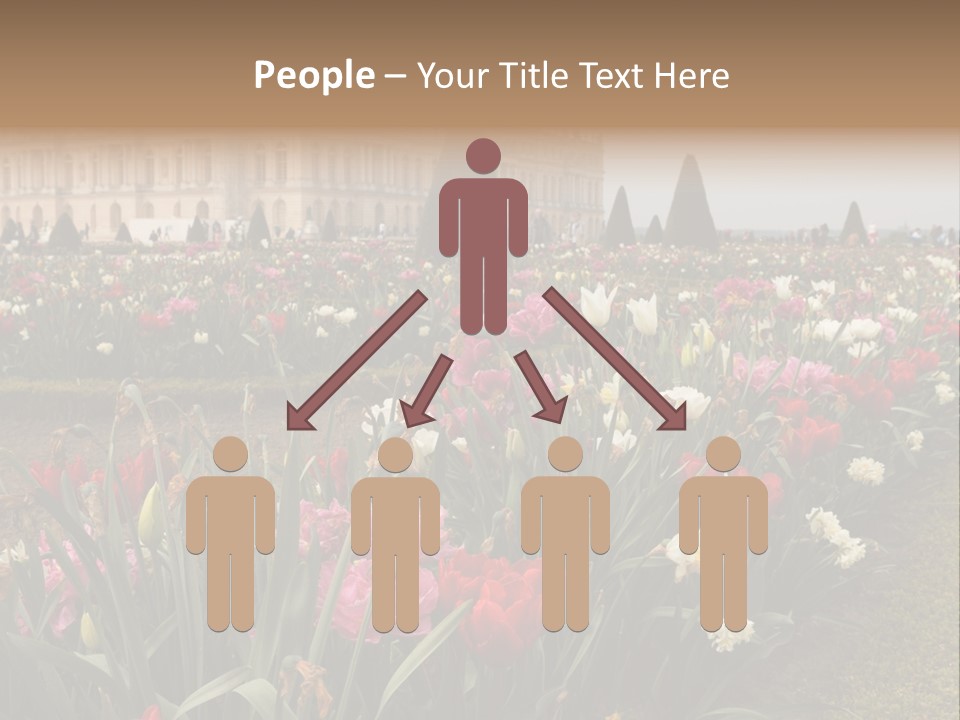 A Field Of Flowers With A Building In The Background PowerPoint Template