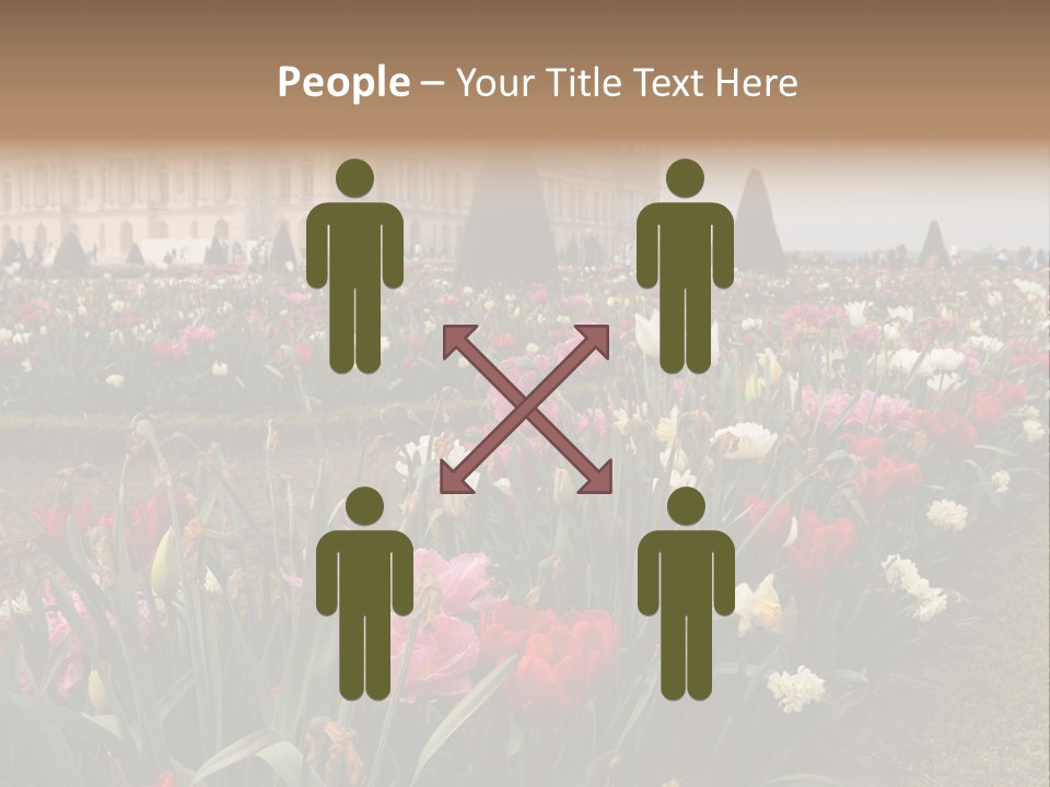 A Field Of Flowers With A Building In The Background PowerPoint Template