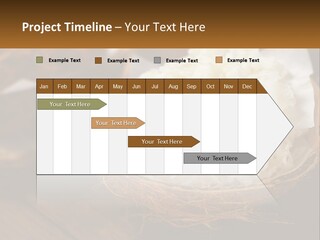 A Picture Of Some Food On A Table PowerPoint Template