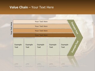A Picture Of Some Food On A Table PowerPoint Template