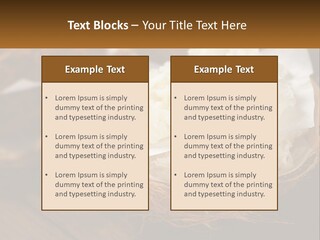 A Picture Of Some Food On A Table PowerPoint Template