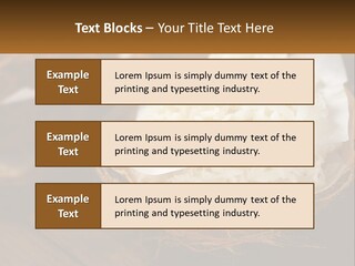 A Picture Of Some Food On A Table PowerPoint Template