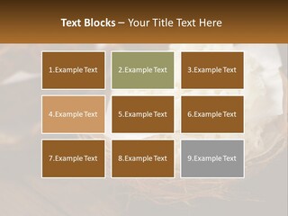 A Picture Of Some Food On A Table PowerPoint Template