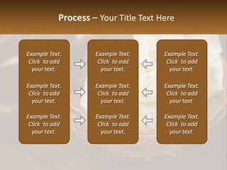 A Picture Of Some Food On A Table PowerPoint Template