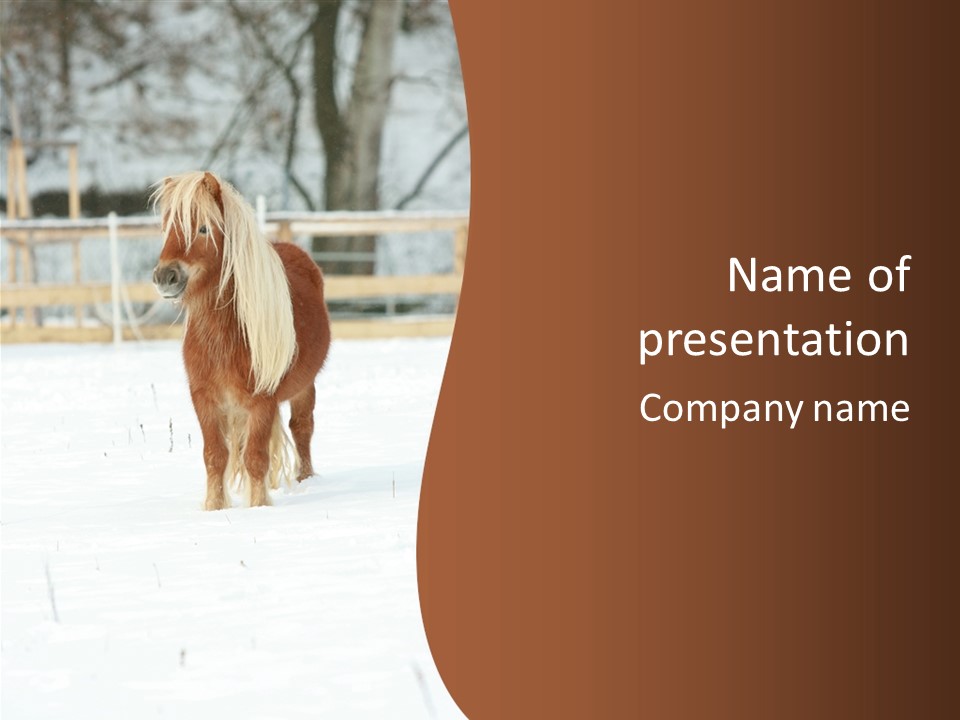 A Brown Horse Standing In The Snow In Front Of A Fence PowerPoint Template