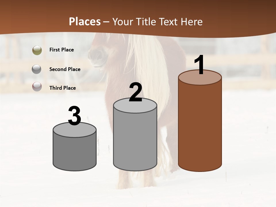 A Brown Horse Standing In The Snow In Front Of A Fence PowerPoint Template