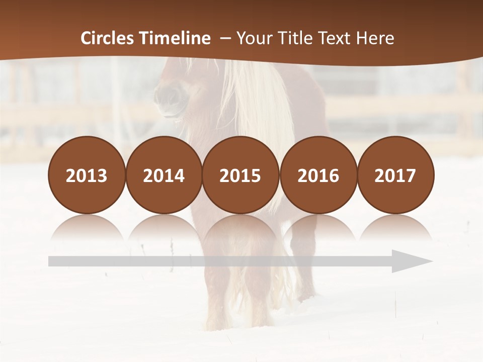 A Brown Horse Standing In The Snow In Front Of A Fence PowerPoint Template