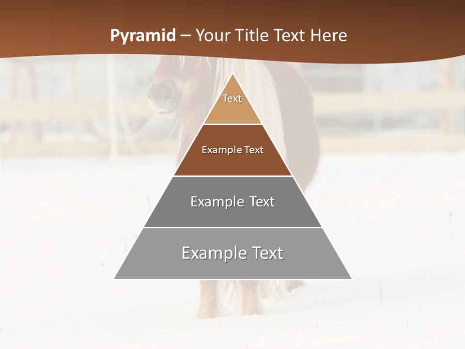 A Brown Horse Standing In The Snow In Front Of A Fence PowerPoint Template