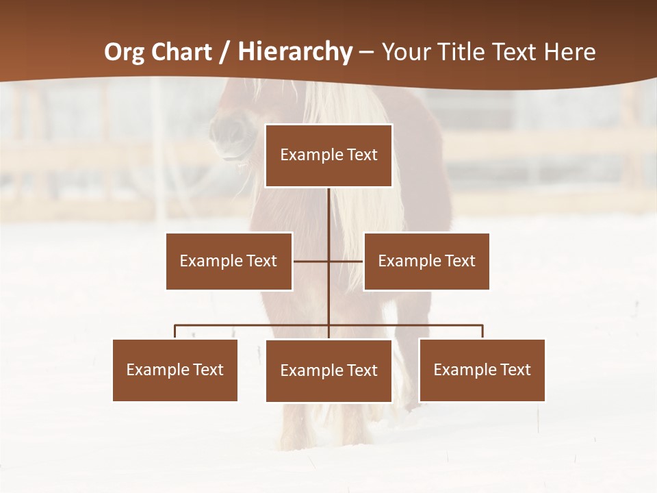 A Brown Horse Standing In The Snow In Front Of A Fence PowerPoint Template