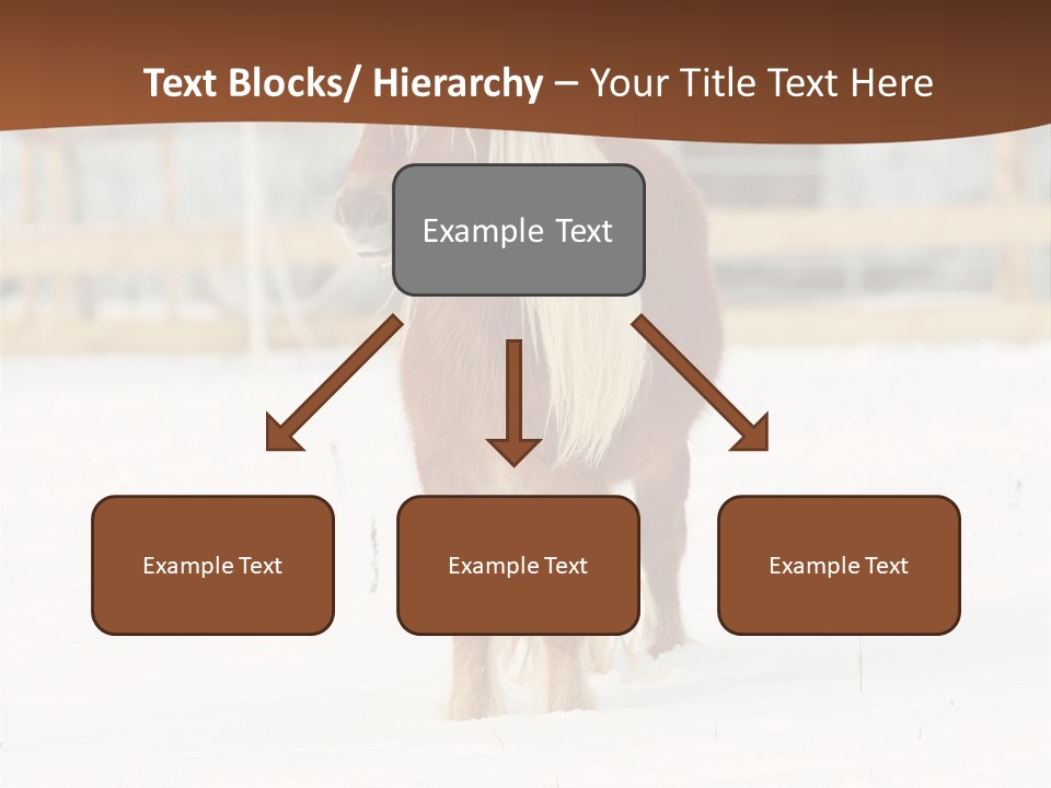 A Brown Horse Standing In The Snow In Front Of A Fence PowerPoint Template