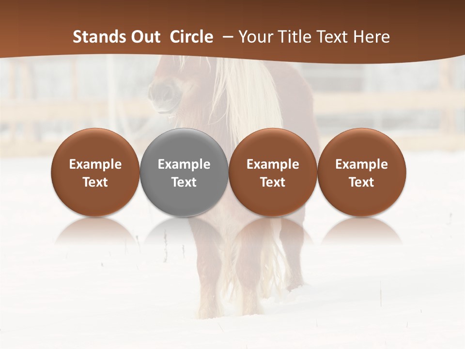 A Brown Horse Standing In The Snow In Front Of A Fence PowerPoint Template