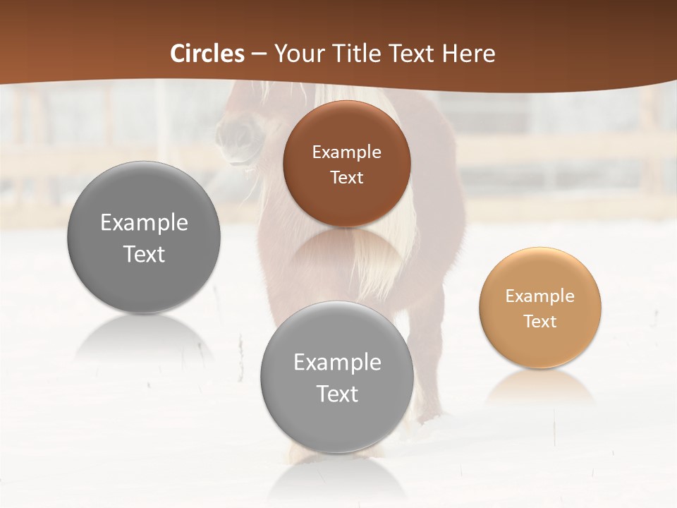 A Brown Horse Standing In The Snow In Front Of A Fence PowerPoint Template