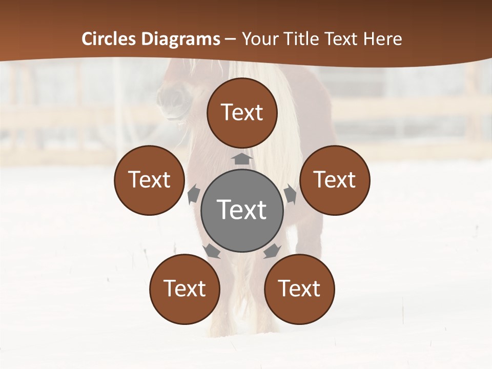 A Brown Horse Standing In The Snow In Front Of A Fence PowerPoint Template