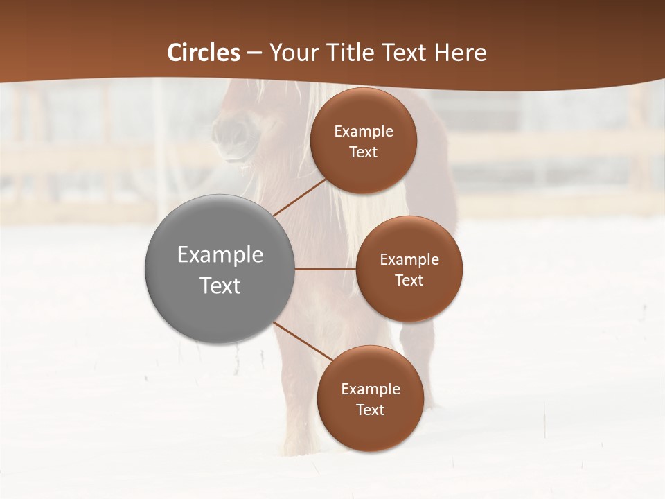 A Brown Horse Standing In The Snow In Front Of A Fence PowerPoint Template