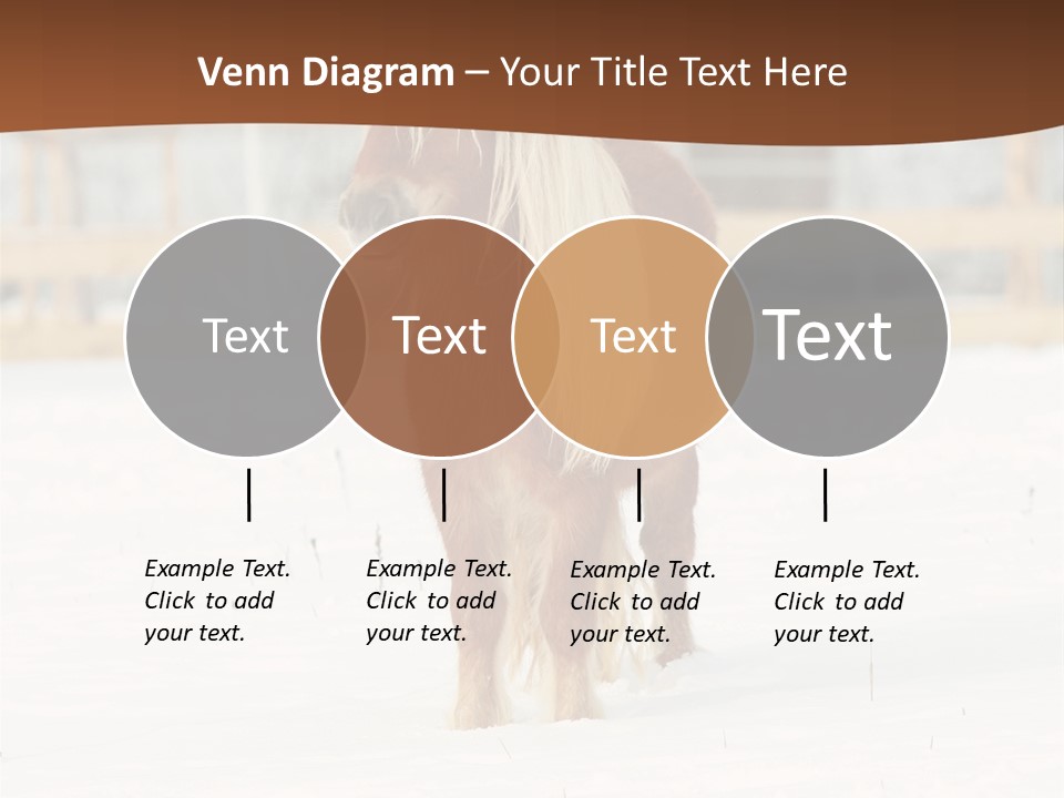 A Brown Horse Standing In The Snow In Front Of A Fence PowerPoint Template