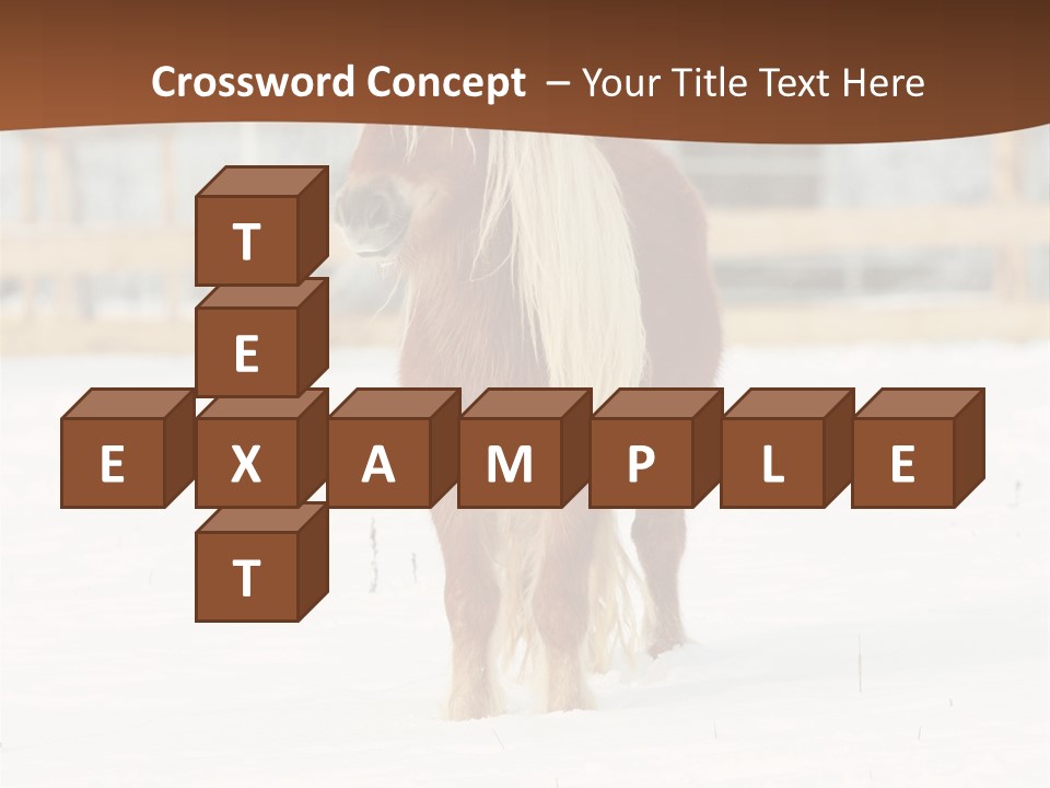 A Brown Horse Standing In The Snow In Front Of A Fence PowerPoint Template