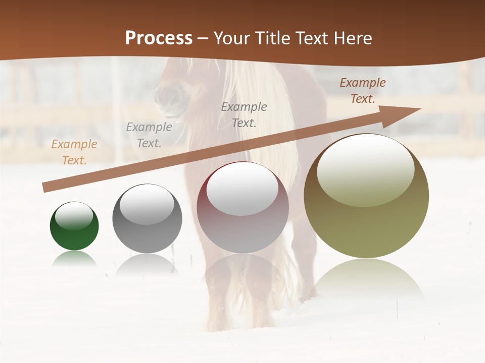 A Brown Horse Standing In The Snow In Front Of A Fence PowerPoint Template