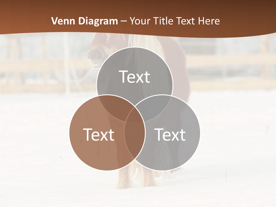 A Brown Horse Standing In The Snow In Front Of A Fence PowerPoint Template