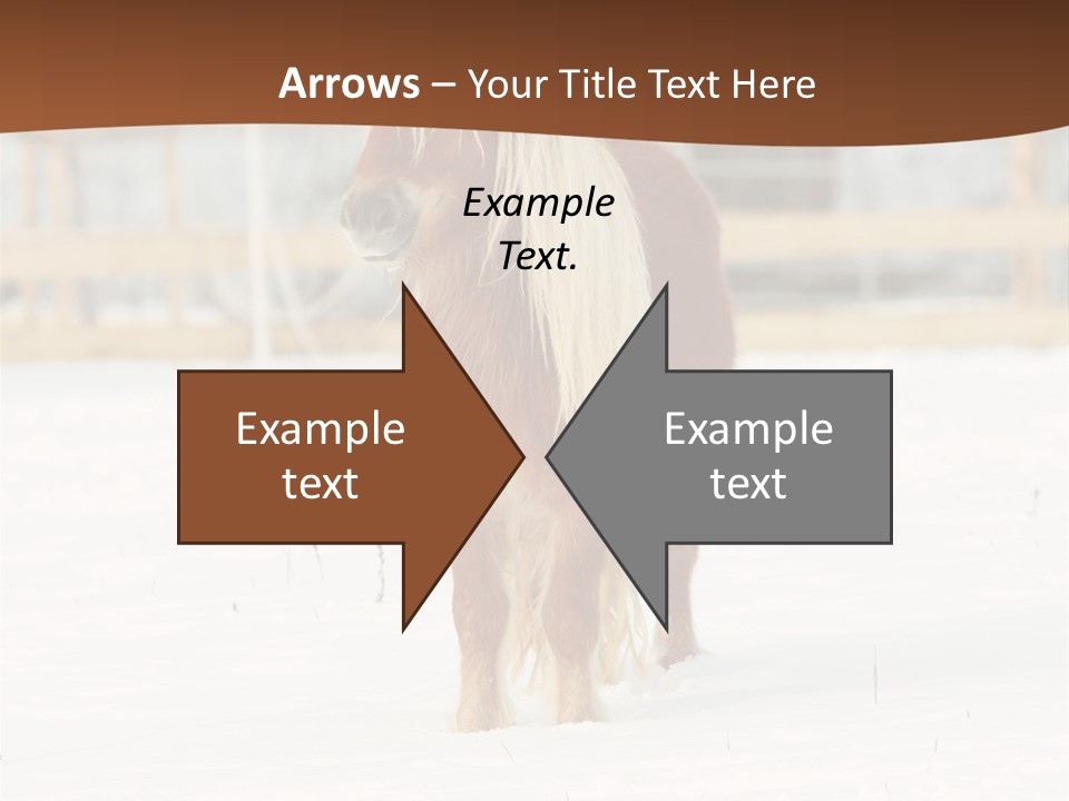 A Brown Horse Standing In The Snow In Front Of A Fence PowerPoint Template