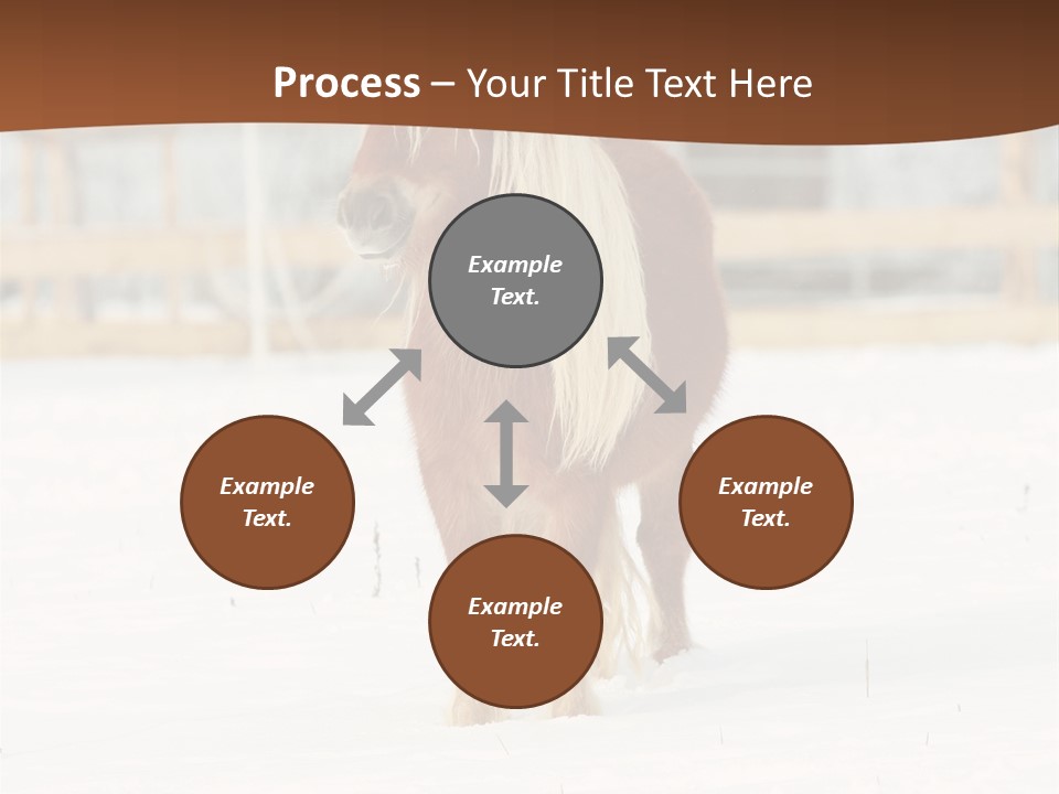 A Brown Horse Standing In The Snow In Front Of A Fence PowerPoint Template