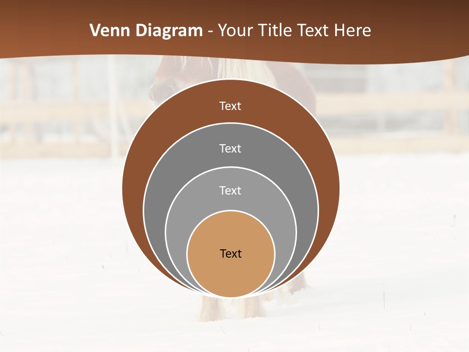 A Brown Horse Standing In The Snow In Front Of A Fence PowerPoint Template