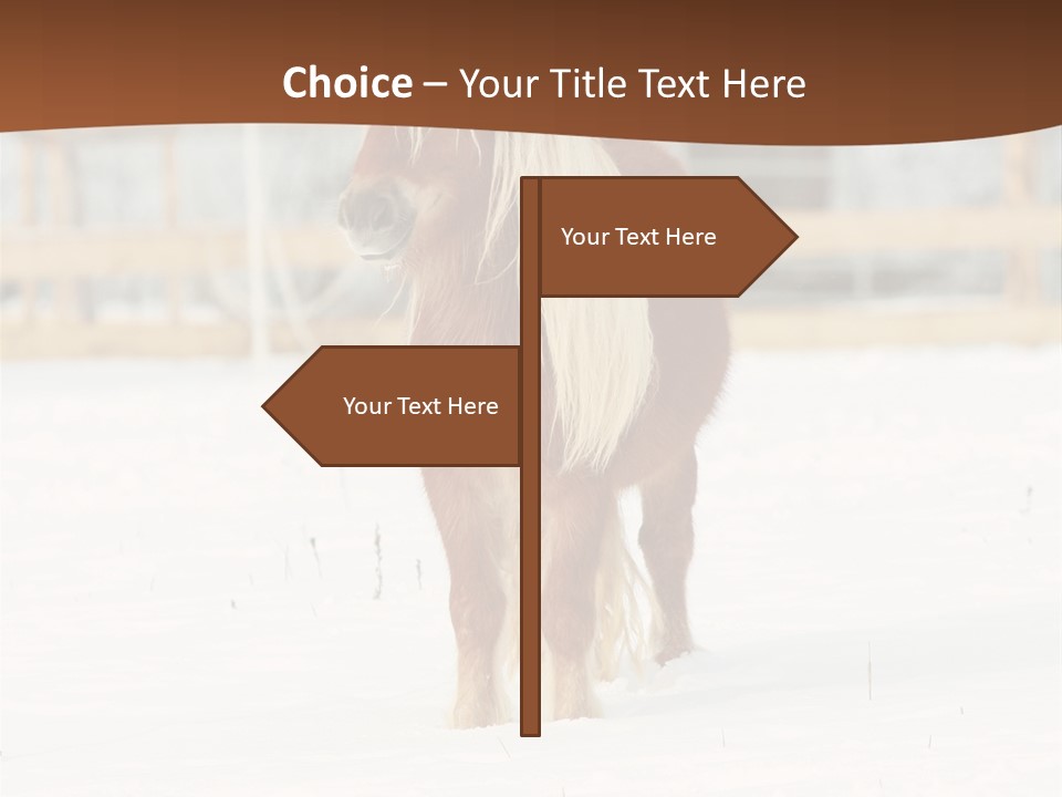 A Brown Horse Standing In The Snow In Front Of A Fence PowerPoint Template