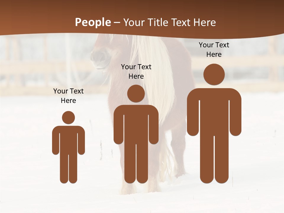 A Brown Horse Standing In The Snow In Front Of A Fence PowerPoint Template