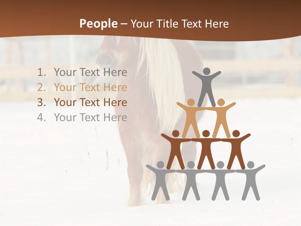 A Brown Horse Standing In The Snow In Front Of A Fence PowerPoint Template
