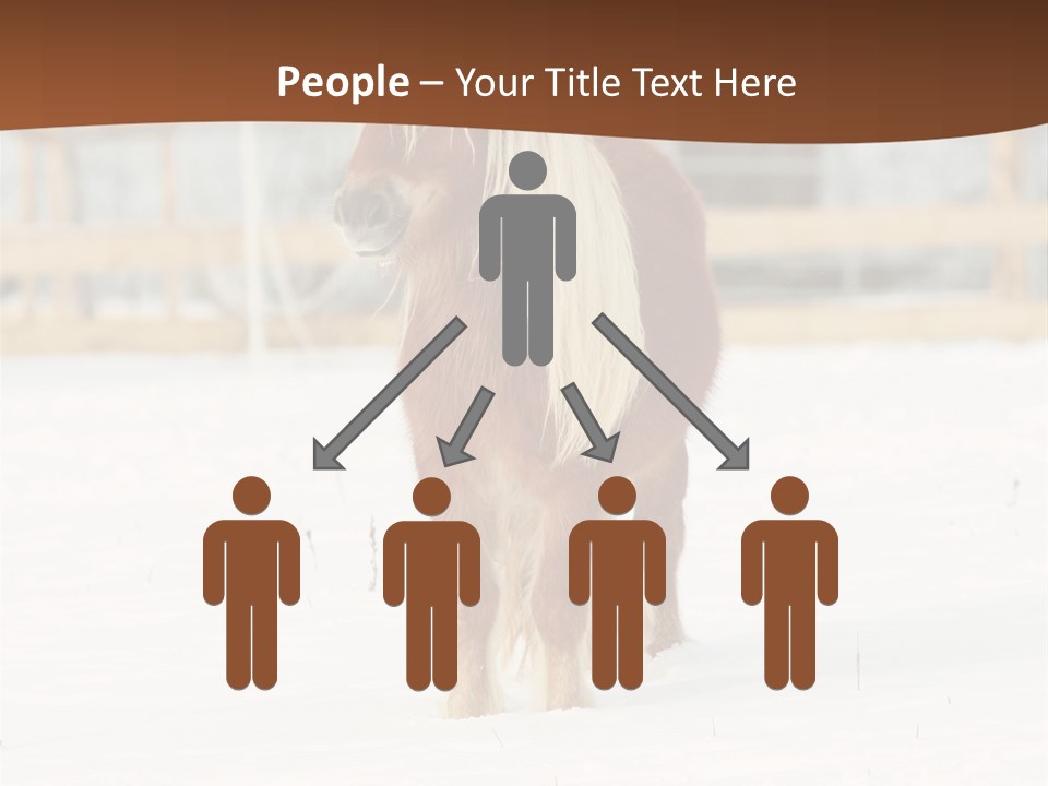 A Brown Horse Standing In The Snow In Front Of A Fence PowerPoint Template