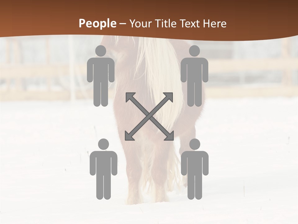 A Brown Horse Standing In The Snow In Front Of A Fence PowerPoint Template
