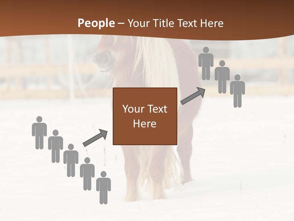 A Brown Horse Standing In The Snow In Front Of A Fence PowerPoint Template