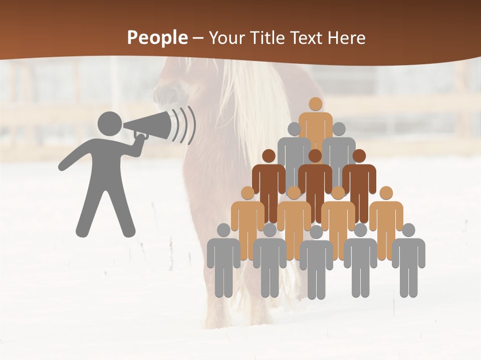 A Brown Horse Standing In The Snow In Front Of A Fence PowerPoint Template