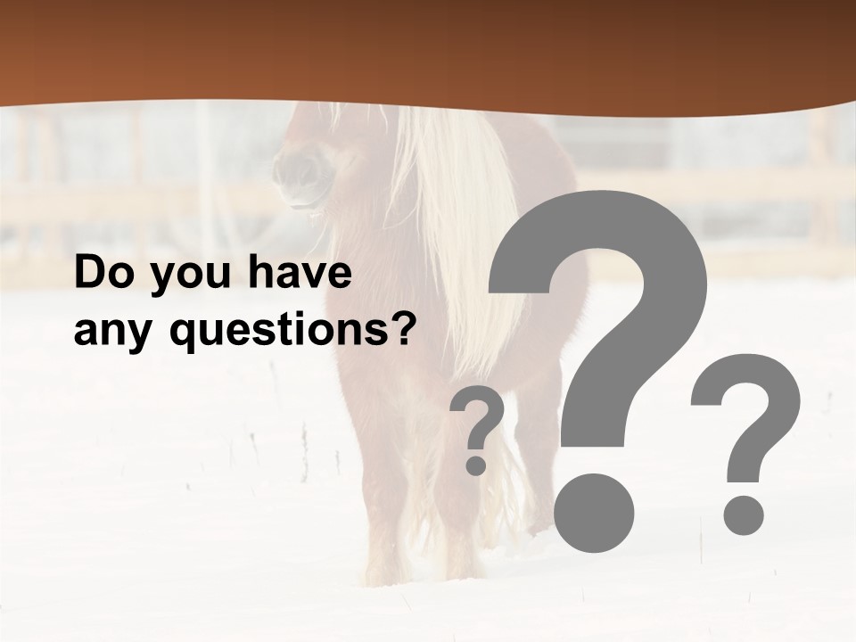 A Brown Horse Standing In The Snow In Front Of A Fence PowerPoint Template