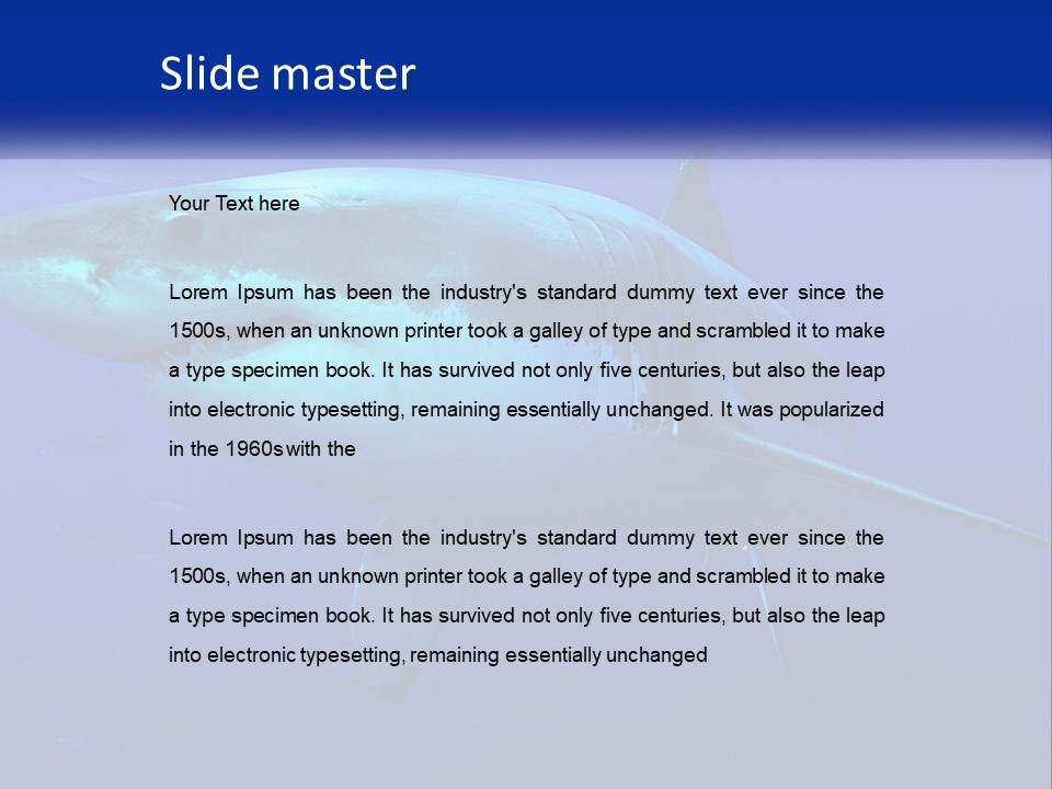 A Great White Shark Swimming In The Blue Water PowerPoint Template