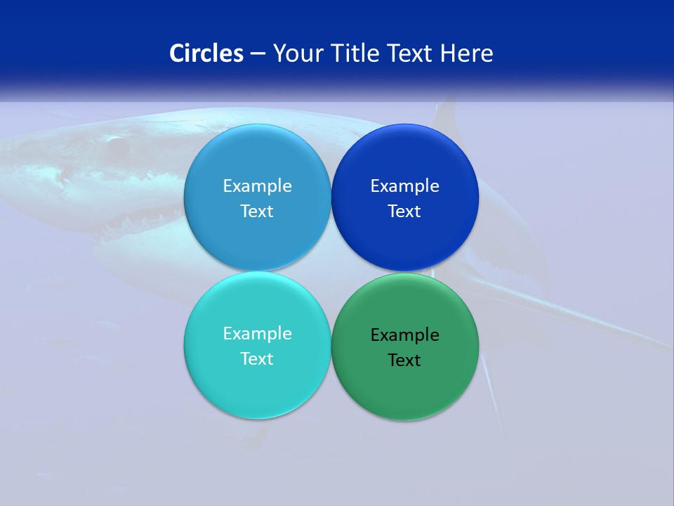 A Great White Shark Swimming In The Blue Water PowerPoint Template