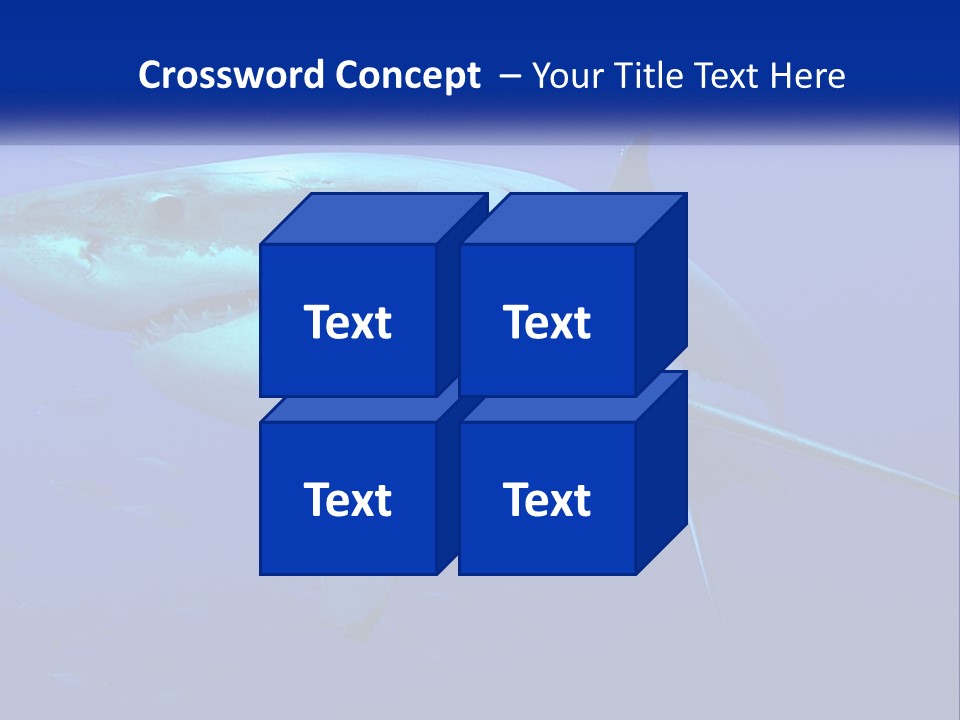 A Great White Shark Swimming In The Blue Water PowerPoint Template