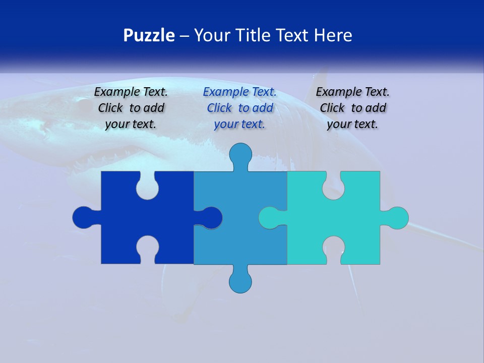 A Great White Shark Swimming In The Blue Water PowerPoint Template