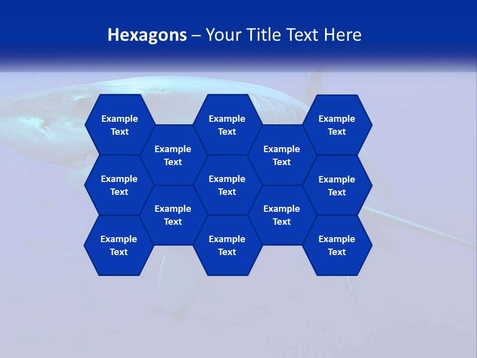 A Great White Shark Swimming In The Blue Water PowerPoint Template