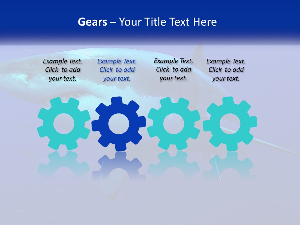 A Great White Shark Swimming In The Blue Water PowerPoint Template