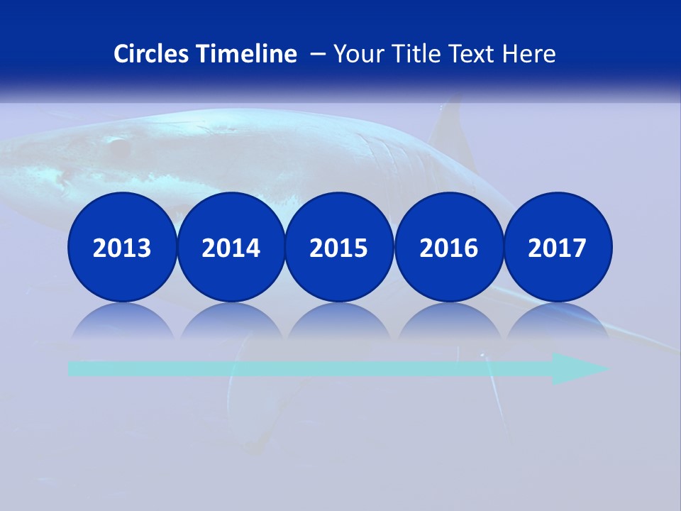 A Great White Shark Swimming In The Blue Water PowerPoint Template