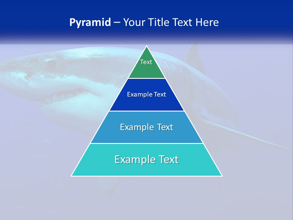 A Great White Shark Swimming In The Blue Water PowerPoint Template