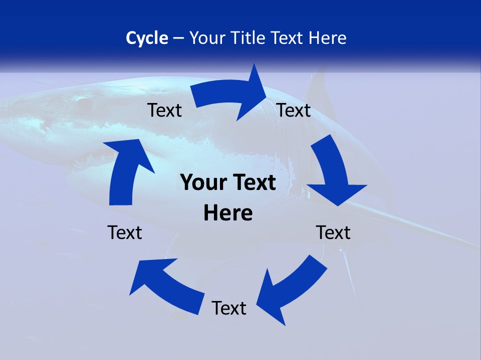 A Great White Shark Swimming In The Blue Water PowerPoint Template