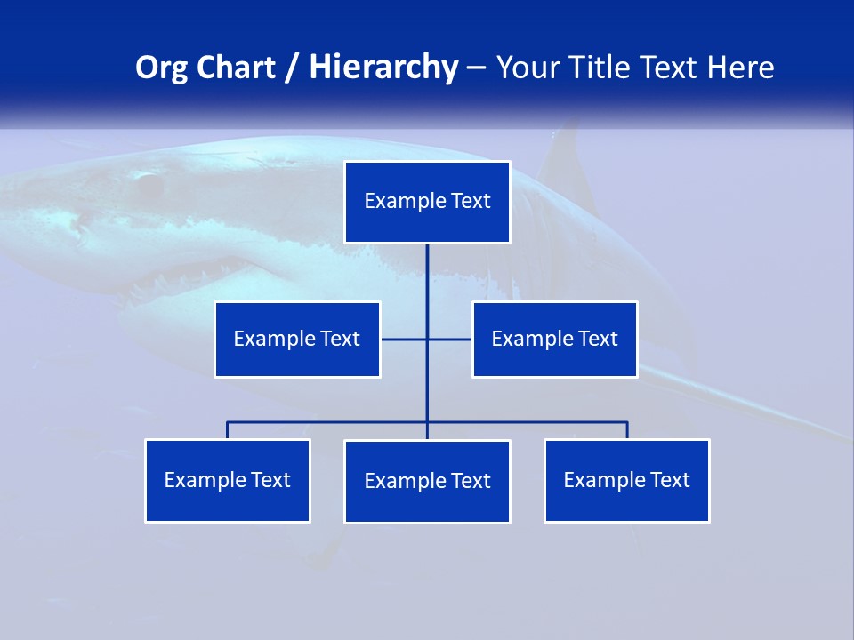 A Great White Shark Swimming In The Blue Water PowerPoint Template