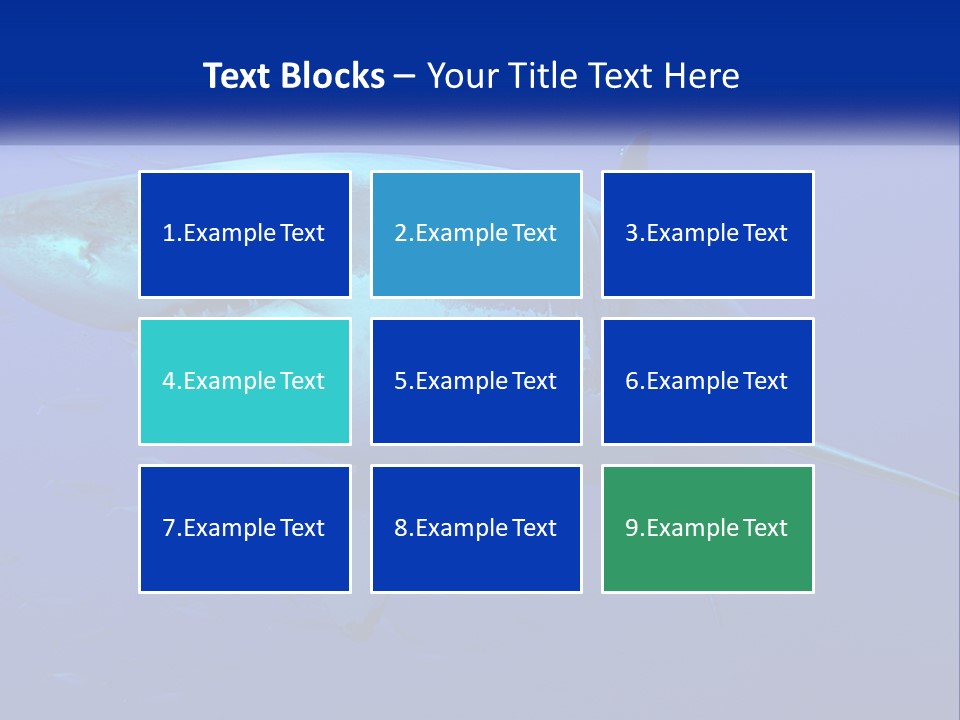 A Great White Shark Swimming In The Blue Water PowerPoint Template